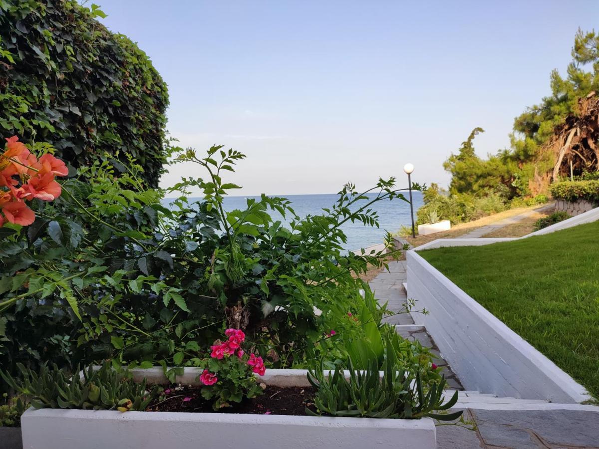 Beach House Emme ปาเลออน ซิฟลิคิออน ภายนอก รูปภาพ